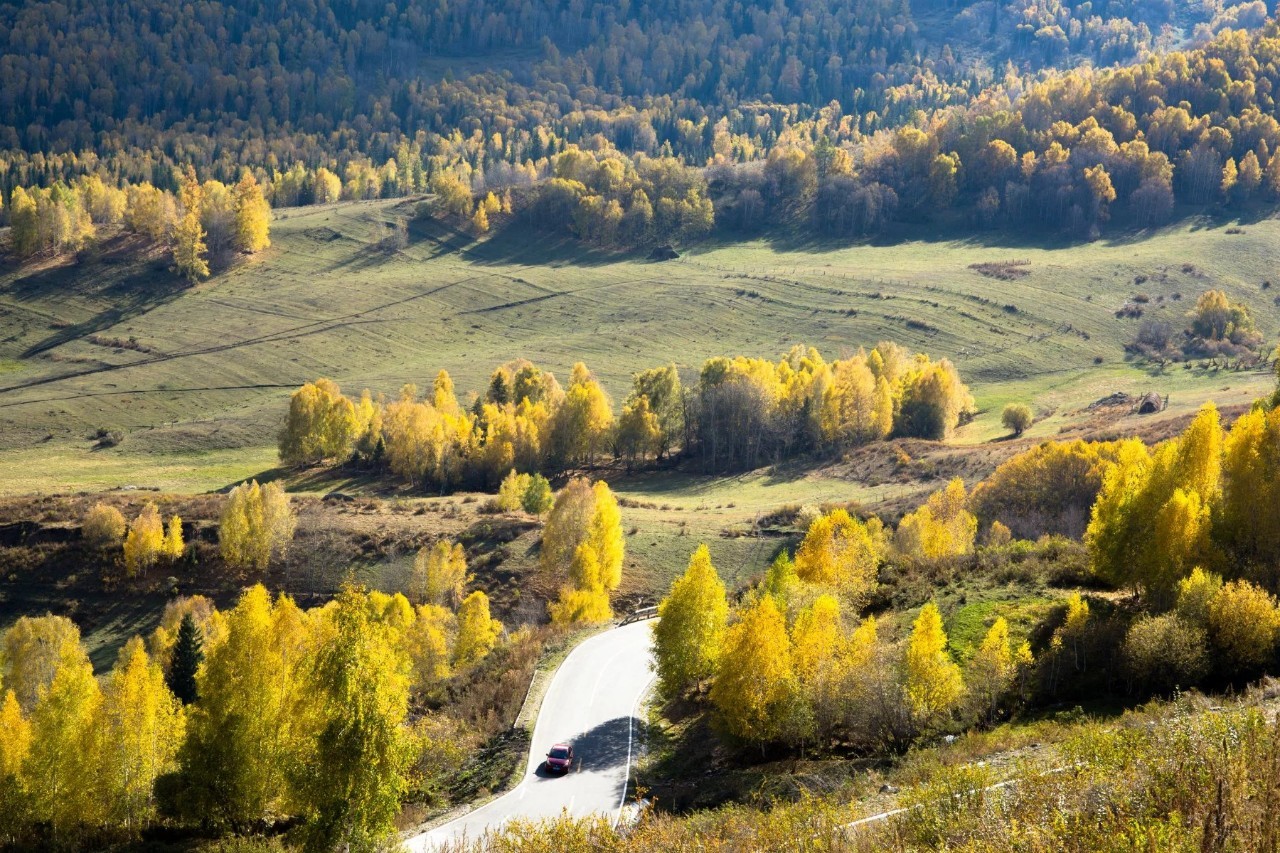 新疆，多元文化交融与民族和谐共生的魅力之地
