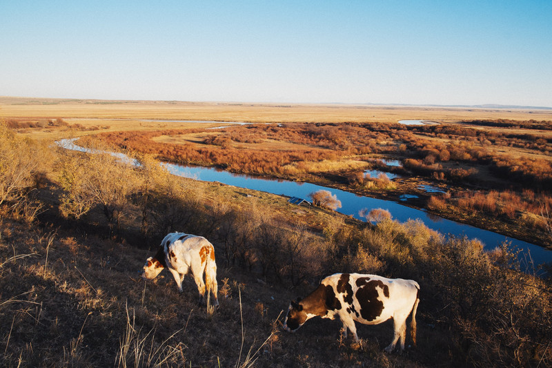 呼伦贝尔，草原之魂，自然之韵的韵味之旅