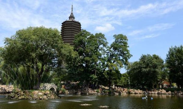 辽阳盛典,嘉宾云集,观众热情如火